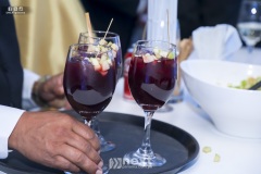 F17A3296