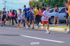 N0095236