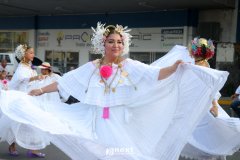IMG_4862