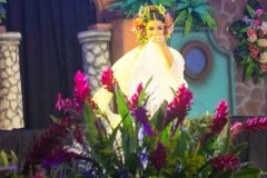 IMG_8581