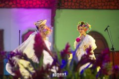 IMG_8600