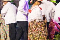 IMG_8992