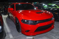 5C6A2950