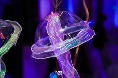 IMG_0022