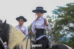 IMG_8282