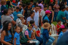 IMG_8517