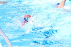 IMG_1784