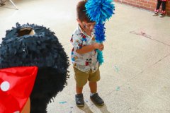 IMG_7584