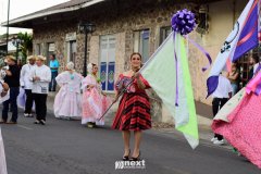 1_DSC0226