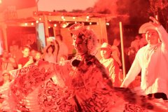 2_DSC0263
