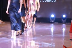 IMG_3537