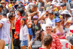 MG_7737