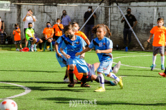 IMG_7155
