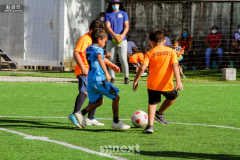 IMG_7142