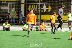 IMG_7251