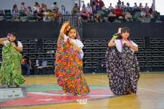 IMG_0241