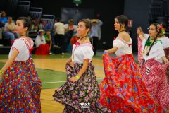 IMG_0387
