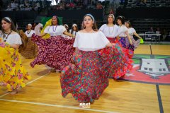 IMG_0478