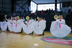 IMG_0554