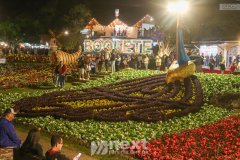 IMG_8941