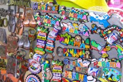 IMG_9011