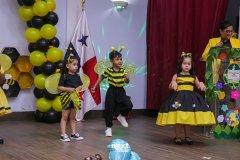 IMG_5115