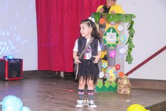 IMG_5236