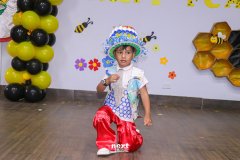IMG_5242