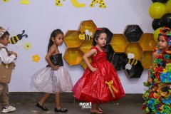 IMG_5251