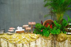 DSC02509