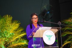 DSC02703