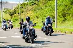 IMG_1887