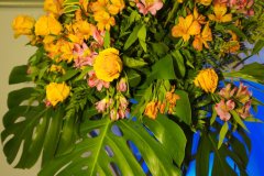 IMG_0883