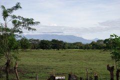 DSC00336