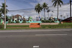 DSC00509