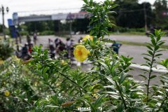 DSC00550