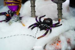 DSC01290