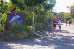 N0012744