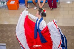 IMG_8217