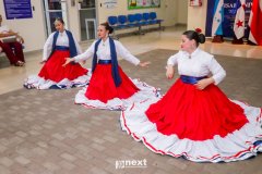 IMG_8236