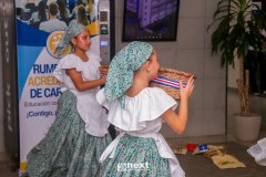 IMG_8291