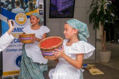 IMG_8292