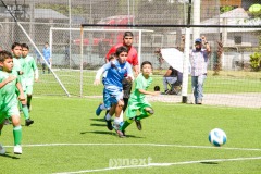 IMG_4656