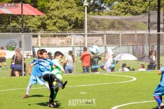 IMG_4661