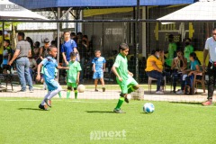IMG_4663
