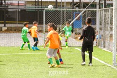 IMG_4767