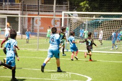 IMG_4845