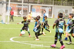 IMG_4916