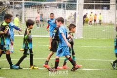 IMG_4948