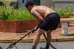 N0090636